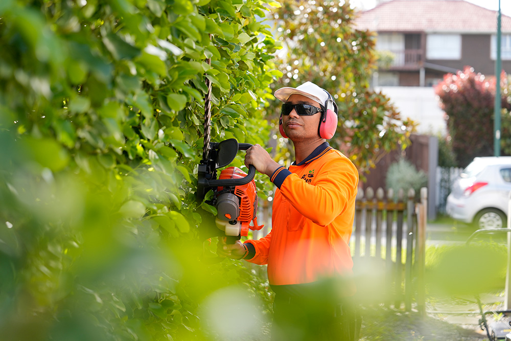 A man wearing safety gear trims a hedge with an electric trimmer in a home area, focusing intently on his task.