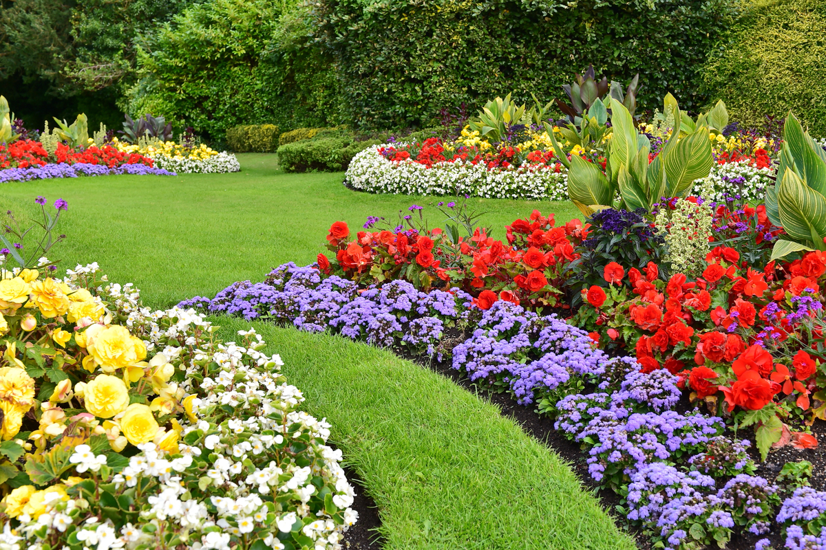 Flower Beds