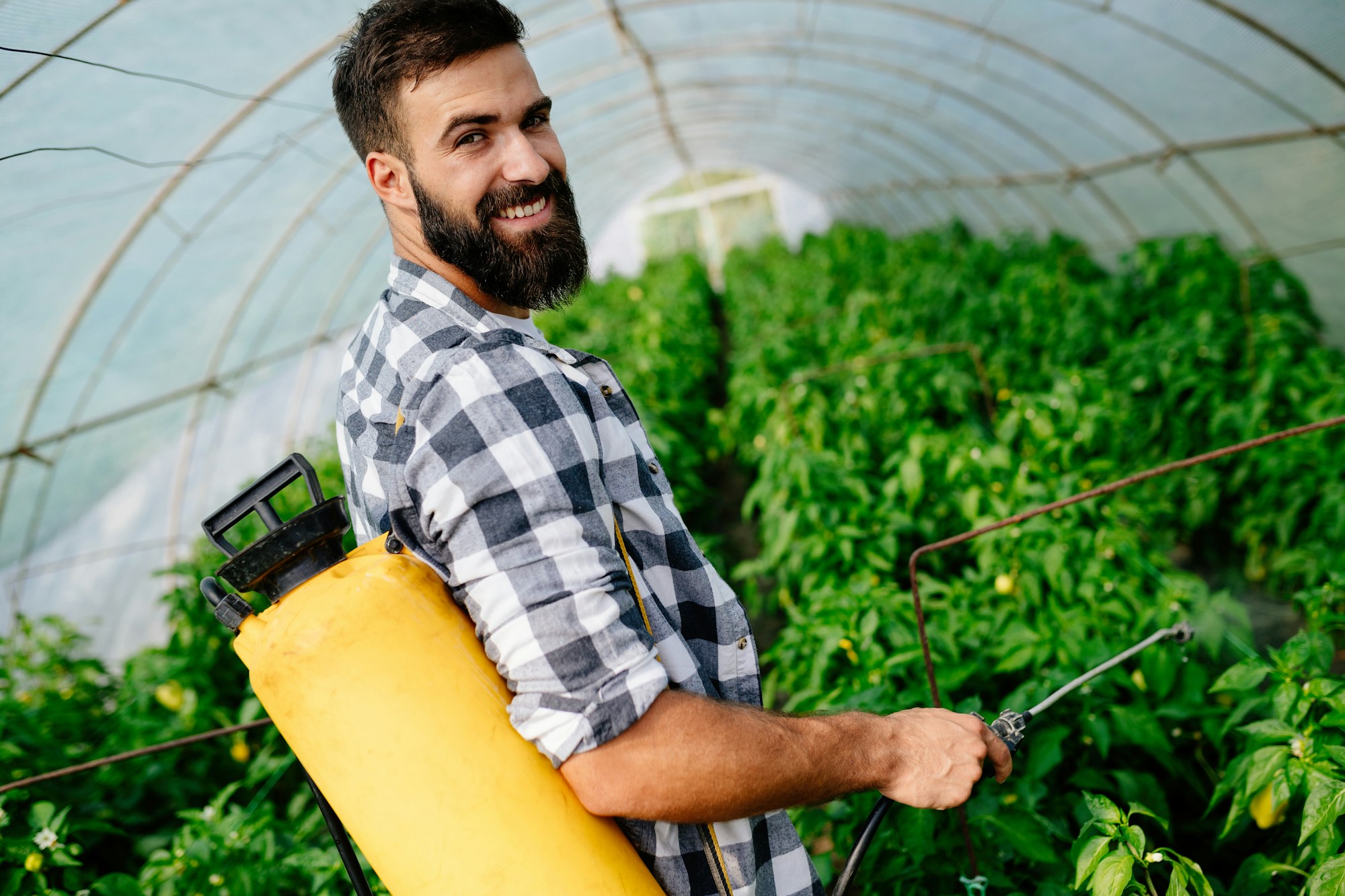 Young worker spraying pesticides on fruit plantation