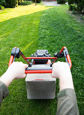 lawn mowing 1