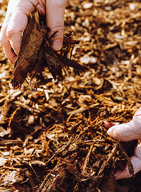 mulching 2